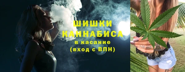 индика Волоколамск