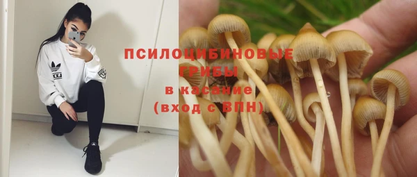индика Волоколамск