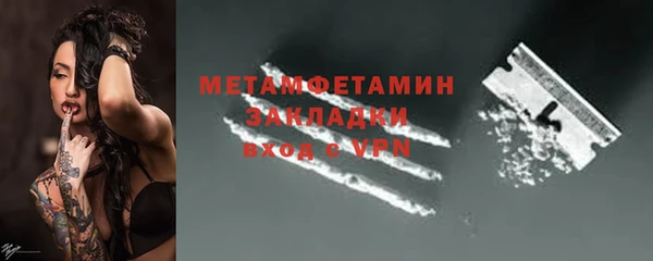 индика Волоколамск