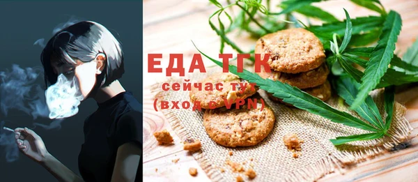 индика Волоколамск