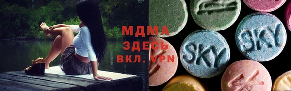 индика Волоколамск