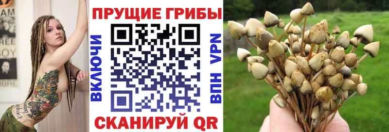 Псилоцибиновые грибы MAGIC MUSHROOMS Моршанск